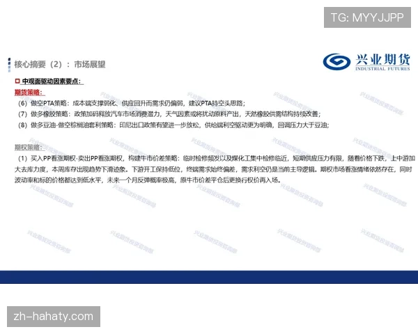维尼修斯舆论评价两极分化的核心成因解析
